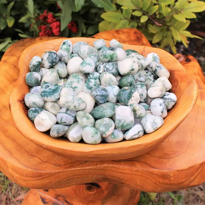 Tree Agate Tumbled Stones