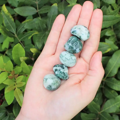 Tree Agate Tumbled Stones