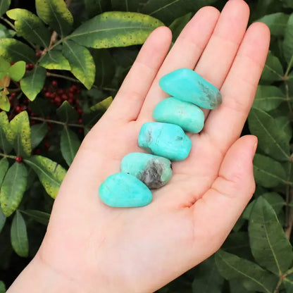 Amazonite Tumbled Stones