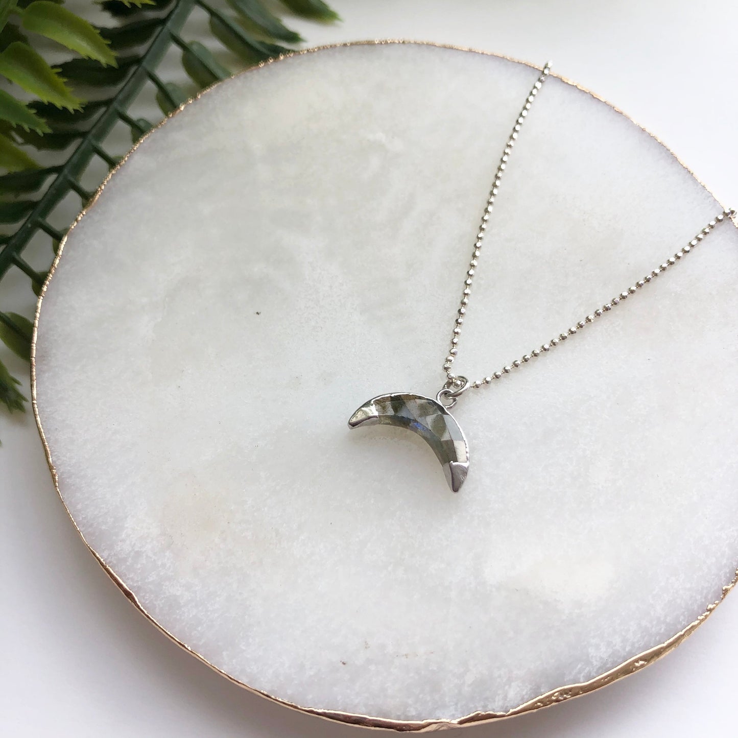 Sterling Silver Double Dipped Horn Necklace